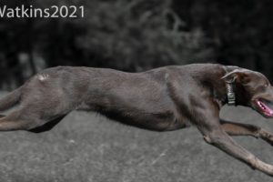 Latest Photos 2021
