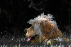 Latest Photos 2021