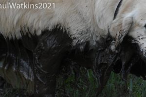 Latest Photos 2021