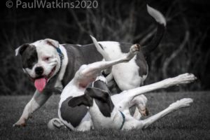 Latest Photos 2021