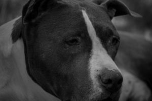Latest Photos 2021