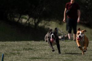 Latest Photos 2021