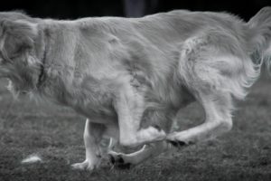 Latest Photos 2021