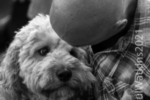 Dogs and their people