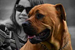 Dogs and their people