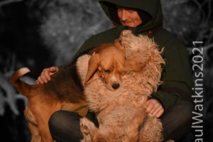 Dogs and their people