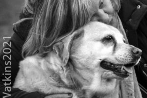 Dogs and their people