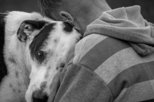 Dogs and their people